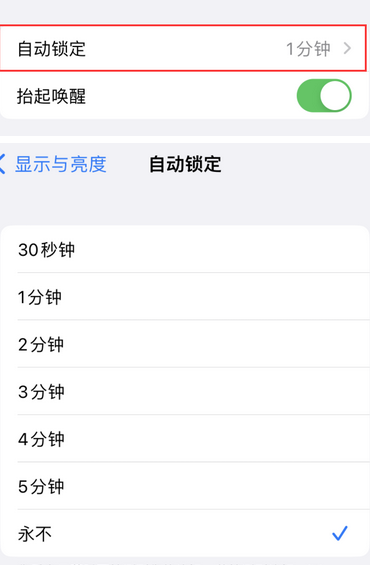 寮步镇苹果换屏维修分享无法调整iPhone自动锁屏的时间怎么办